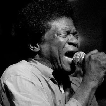 Charles Bradley - Nobody But You