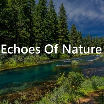 Артист Echoes Of Nature