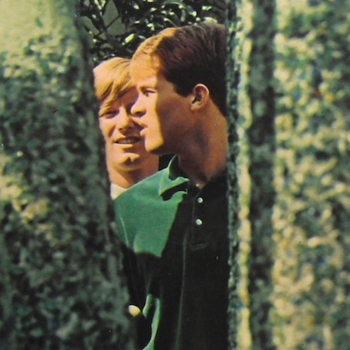 Jan & Dean - Pocket Full of Rainbows