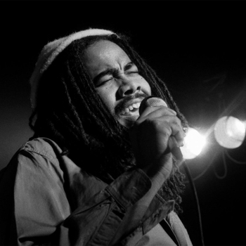 Jacob Miller, Matt Naylor, Steven Stern - Slipping Away