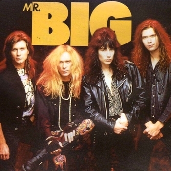 Mr. Big - Wild word