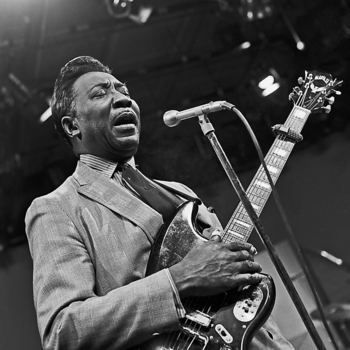 Muddy Waters - I Feel Like Going Home
