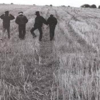 Noir Désir - Le Vent Nous Portera