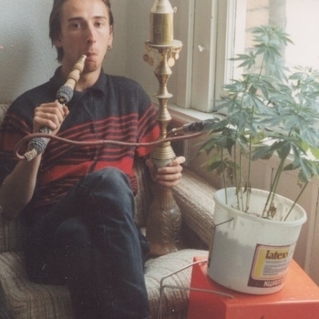 OMFO - native nocturne