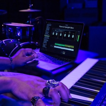 Paradise - Снова ночь опустилась