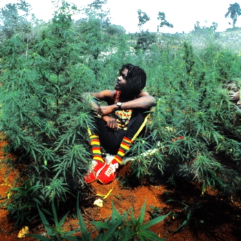 Peter Tosh - Reggaemylitis