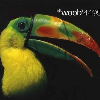 Woob - Void, Part 2