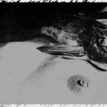 Виды Рыб - Время и место (пригородно-подростковый танцевальный микс)