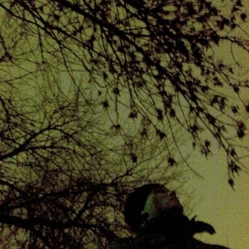 Епархия Зла - Плач лебедей