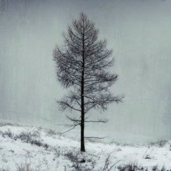 Княжая Пустынь - Отжила Деревянная Русь...