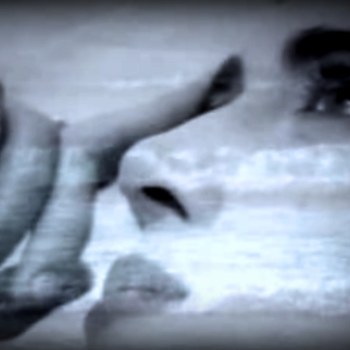 Кошки Нельсона - Море