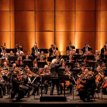 London Symphony Orchestra feat The Twilight Saga: New Moon - New Moon