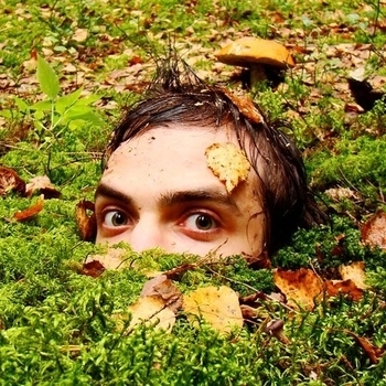 The Вйо и Мох - Ципа