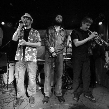 Пойманные Муравьеды - Гомики