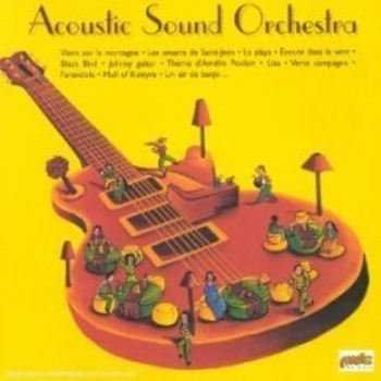 Acoustic Sound Orchestra - Nothing's Gonna Change My Love For You