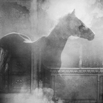 Brambles - To Speak of Solitude