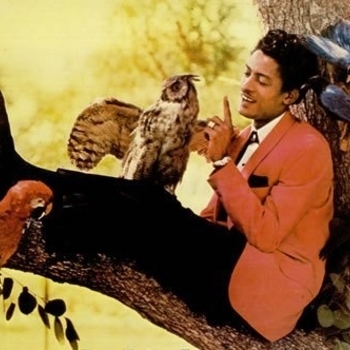 Bobby Day - Good Old Day