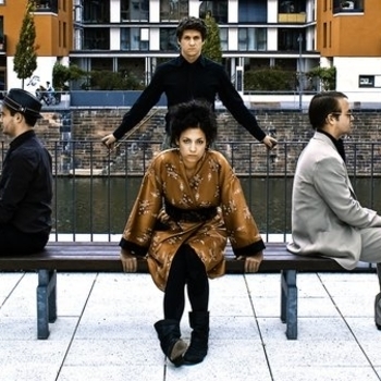 Black Cat Zoot - Nine Lives