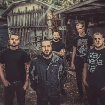 Bermuda - The Human Herd