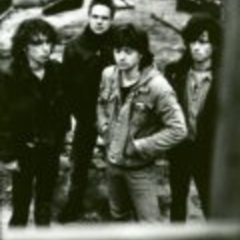 Bad to the Bone - Brain out of Gear