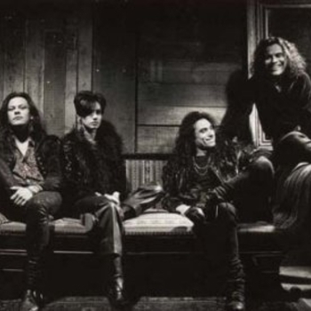 Baby Animals - Under Your Skin