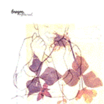 Brazen feat. Ellenyi - Jolene (Electro House Club Mix)