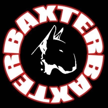 Baxter Baxter - straylight (original mix) (весчь тема - по-моему просто создана для тектоника )