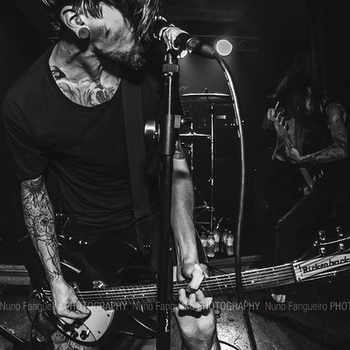 Birds in Row - Love Is Political