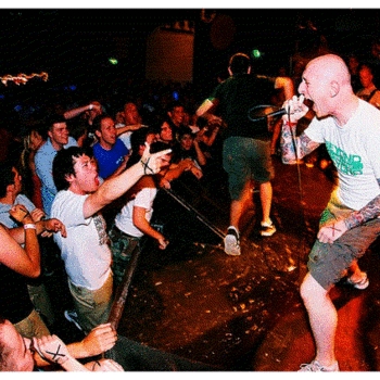 Betrayed - Understand