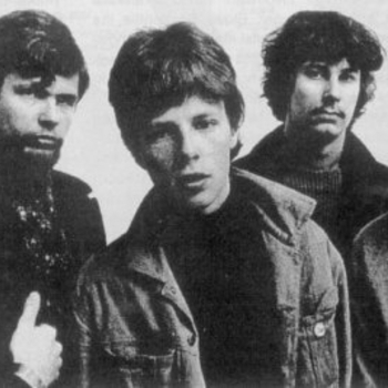 Blues Section - The Day the Bird of Paradise Looked Down Through Crack in the Cloud and Shed a Tear