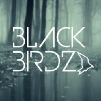 Black Birdz - I Wish You (Original Mix)