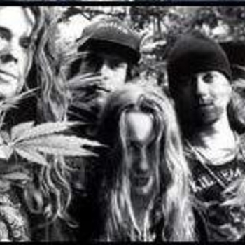 Beaver - Salute to the Vanishing Bald Eagle