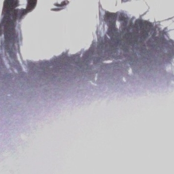 Bolder - песня без вдохновения (!)