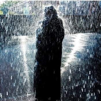 Bjorn Rohde - forest  of forgotten hearts (reflections edit)