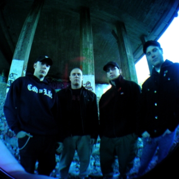 Bleeding Heart - trees