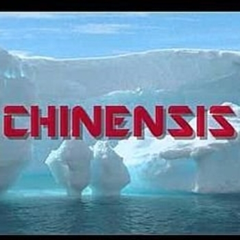 Chinensis - Scatter Laser