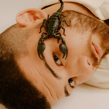 Calin and Stein27 - Ruze (Svedomi 2020)