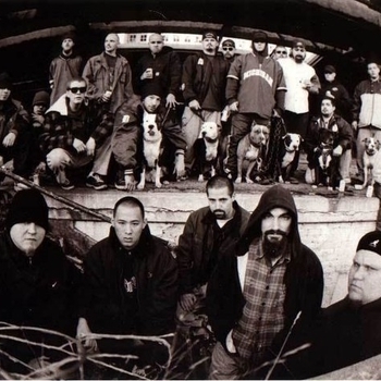 Cold as Life - Scared To Death And Back