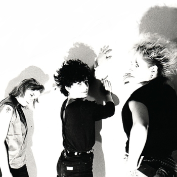 Chin Chin - Peterdactyl