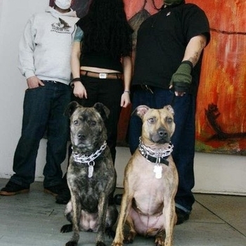 Caninus - God Eat God World