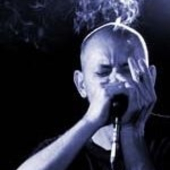 Chris Wilson & Alexander Janko - Moose Caca