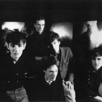 Артист Crime & The City Solution