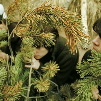 Candy Claws - The Sun Is My Girl