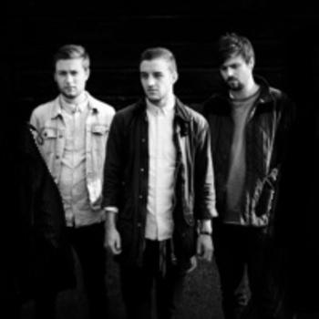 Whales & Echoes - The Path