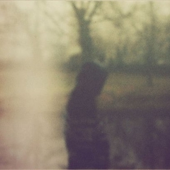 Essay - Crying At Day