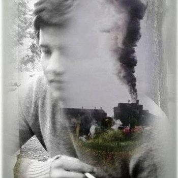 evolv - What an Interesting Creature Alt. Version