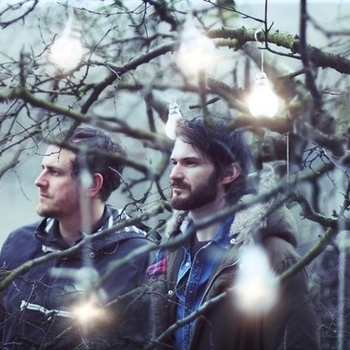 Fossil Collective - Forest