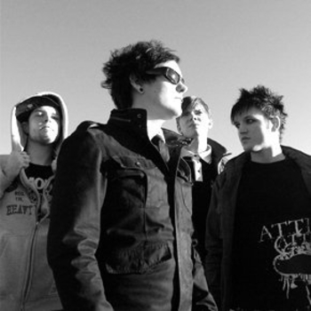 Dogs - The Bark Side