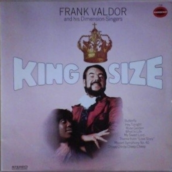 Frank Valdor - Into Each Life Some Rain Must Fall