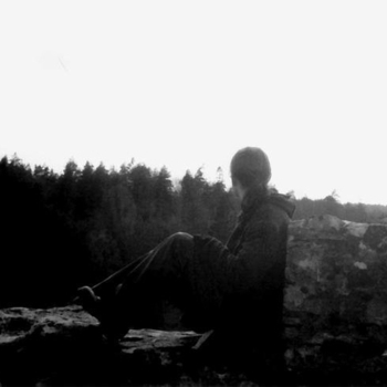 Forest of Shadows - Wish